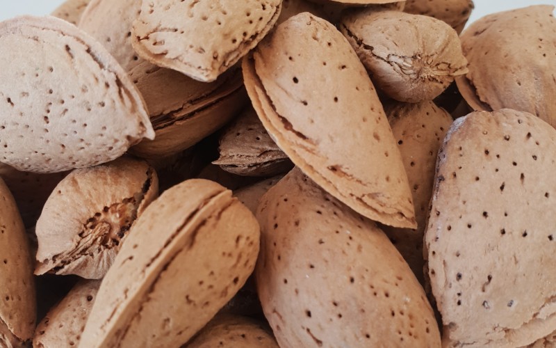 Aşılı Kabuklu Badem ( Diş Badem ) 10 kg