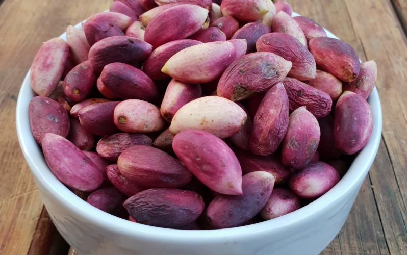 Doğal Taze ( YAŞ ) Antep Fıstığı  5 kg