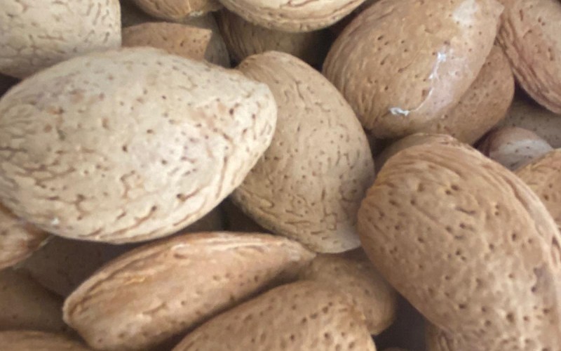Doğal Aşısız Kabuklu Tatlı Badem 10 kg