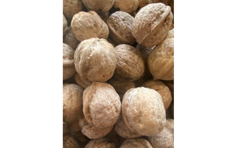 Aşılı Kabuklu Ceviz 10 kg 